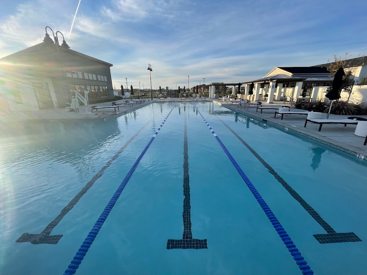 The Silent Menace: Understanding the Dangers of High Cyanuric Acid